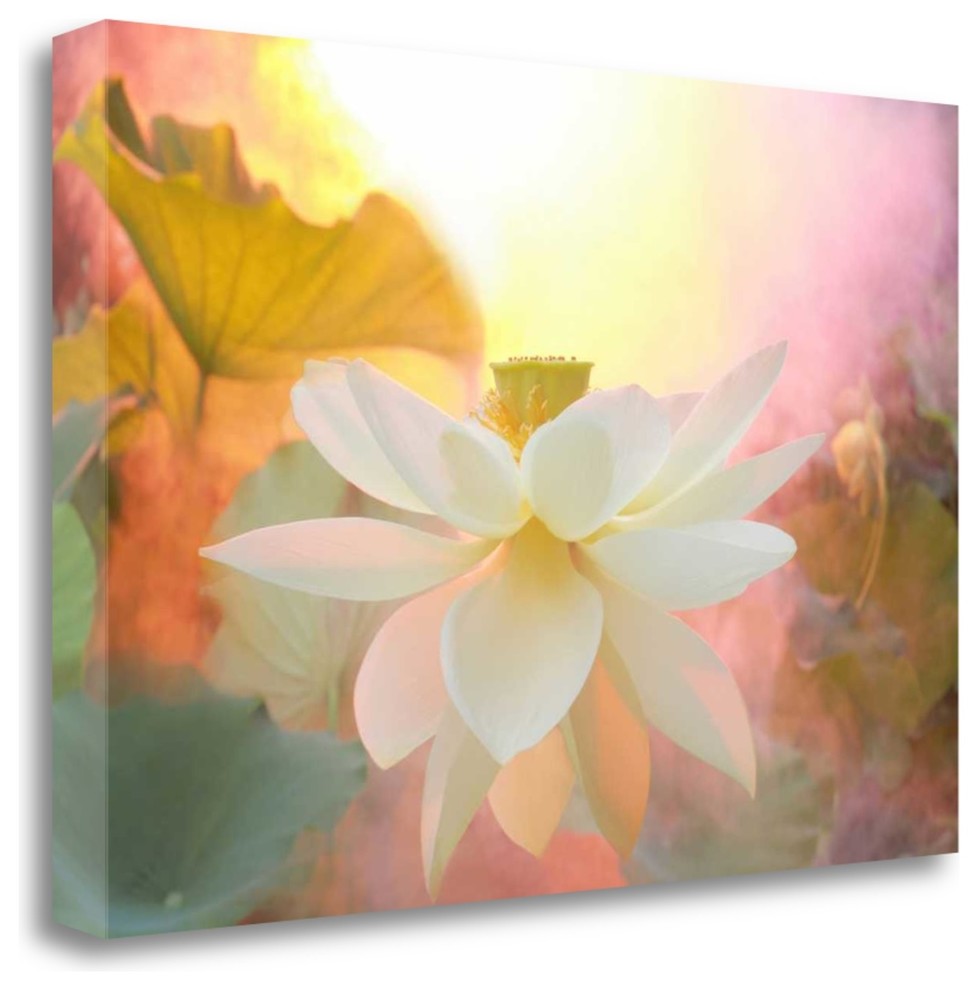 "Arise" By Bahman Farzad, Giclee Print on Gallery Wrap Canvas, Ready to Hang