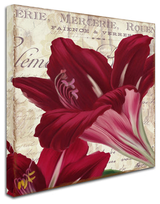 Color Bakery 'Amaryllis ' Canvas Art, 18"x18"