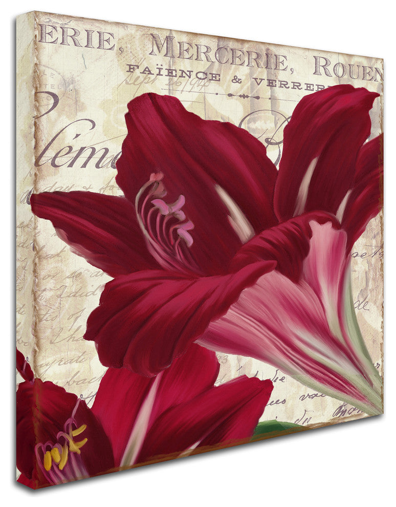 Color Bakery 'Amaryllis ' Canvas Art, 18"x18"