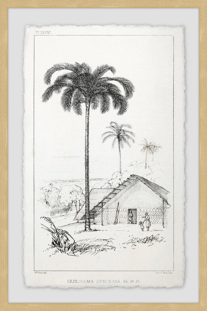 "The Arecaceae" Framed Painting Print, 12"x18"