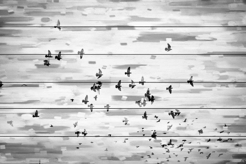 "Birds in Flight" Print on White Wood, 60"x40"