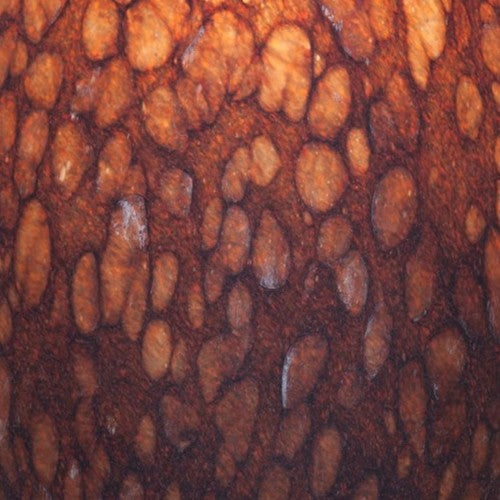 Access Lighting 28012-3R/BRST Champagne 1 Light LED Pendant - 5"W - Brushed