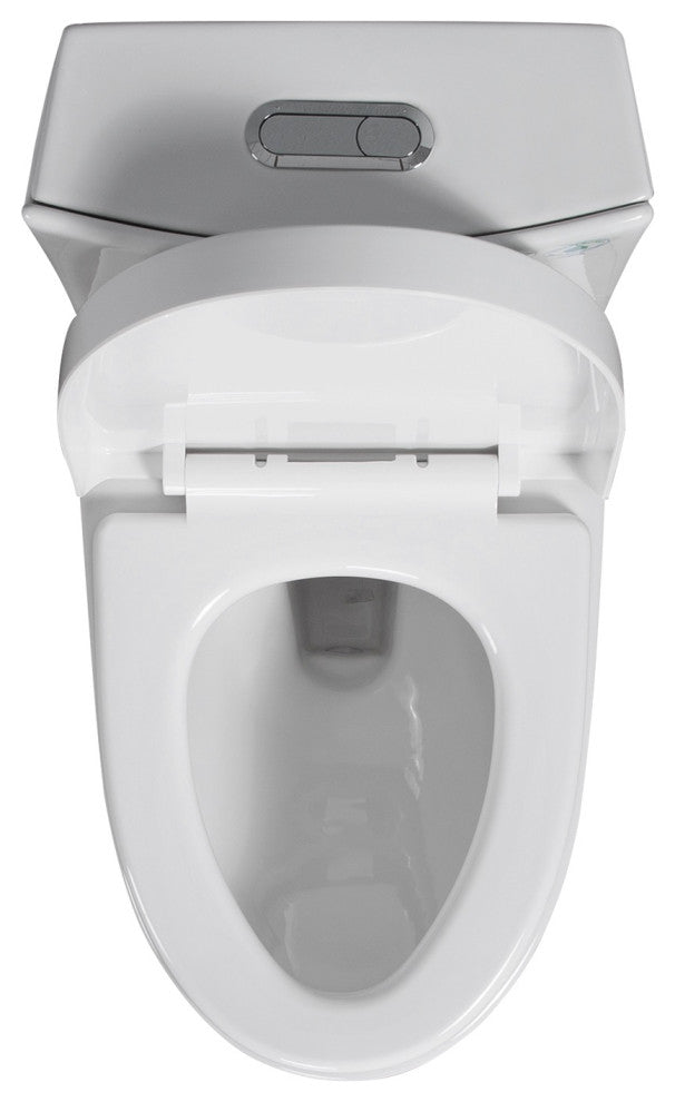 One-piece 1.1/1.6 GPF Dual Flush Elongated Toilet with Soft-Close Seat
