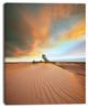 Green Plants in Wide Desert, African Landscape Canvas Art Print, 30"x40"