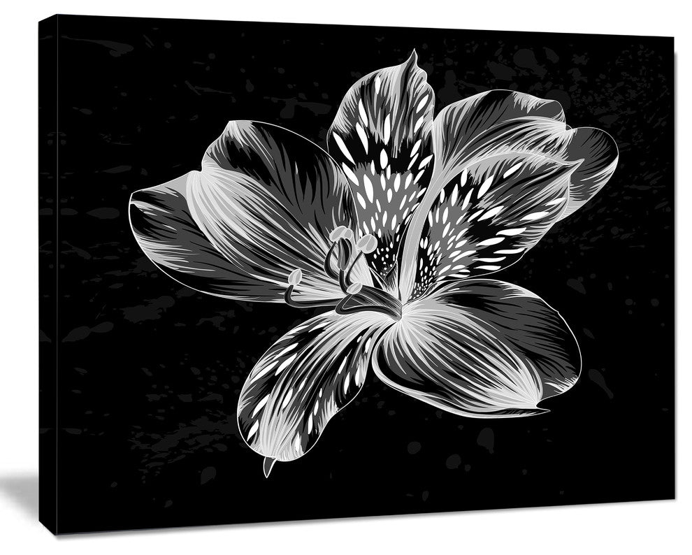Beautiful Monochrome Alstroemeria Flower, Extra Large Floral Wall Art, 20"x12"