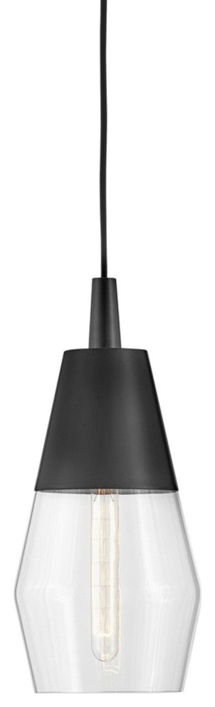 Lark 83397 Livie 1 Light 8"W Mini Pendant / Semi-Flush Ceiling - Black