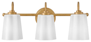 Lark 85413 Honey 3 Light 22"W Vanity Light - Distressed Brass