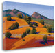"Juniper Hills" By Mary Silverwood, Giclee Print on Gallery Wrap Canvas