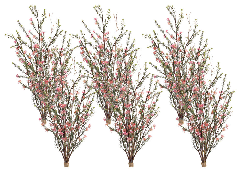 Leptospermum Bundle, 6-Piece Set