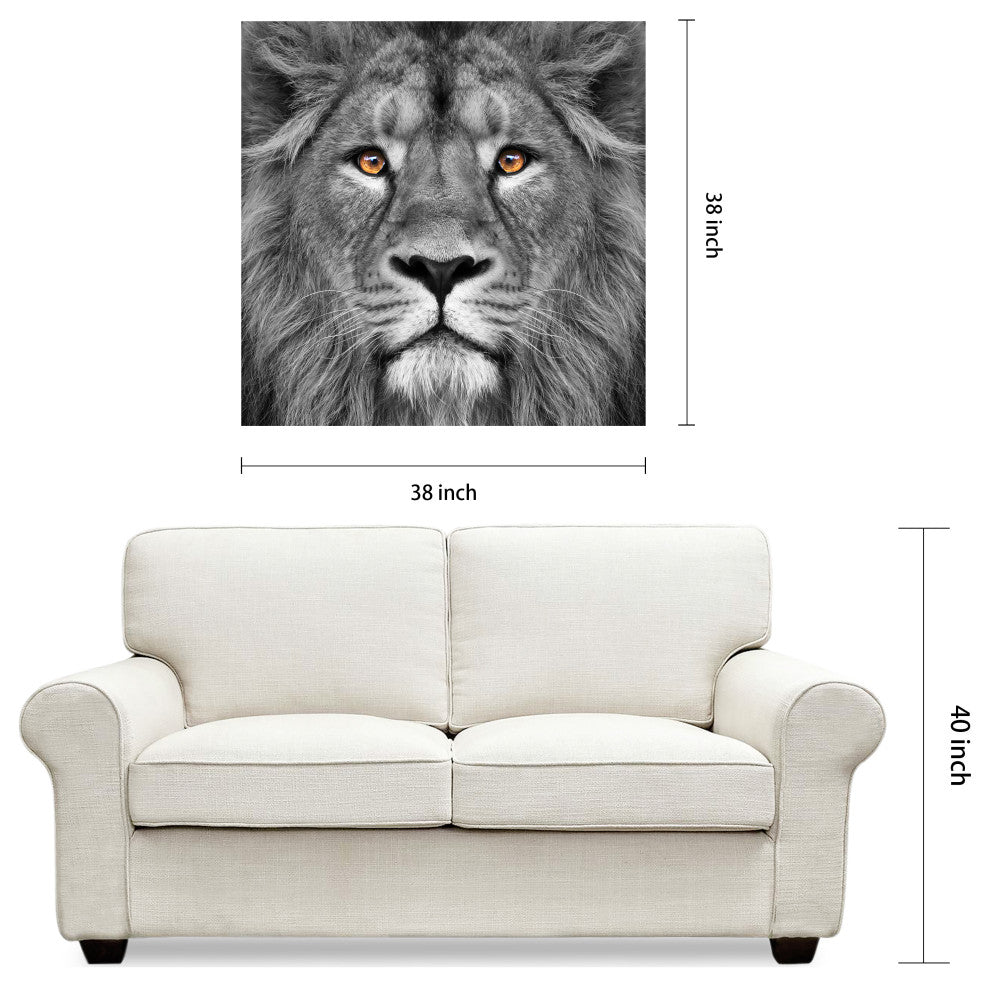 "King of the Jungle" Lion Wall Art Unframed Free Floating Tempered Glass 38 x 38