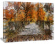 Beautiful Watercolor Autumn Forest, Landscape Canvas Wall Art, 20"x12"