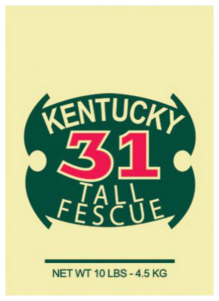 Barenbrug 16210 Kentucky-31 Tall Fescue Grass Seed, 10 Lbs
