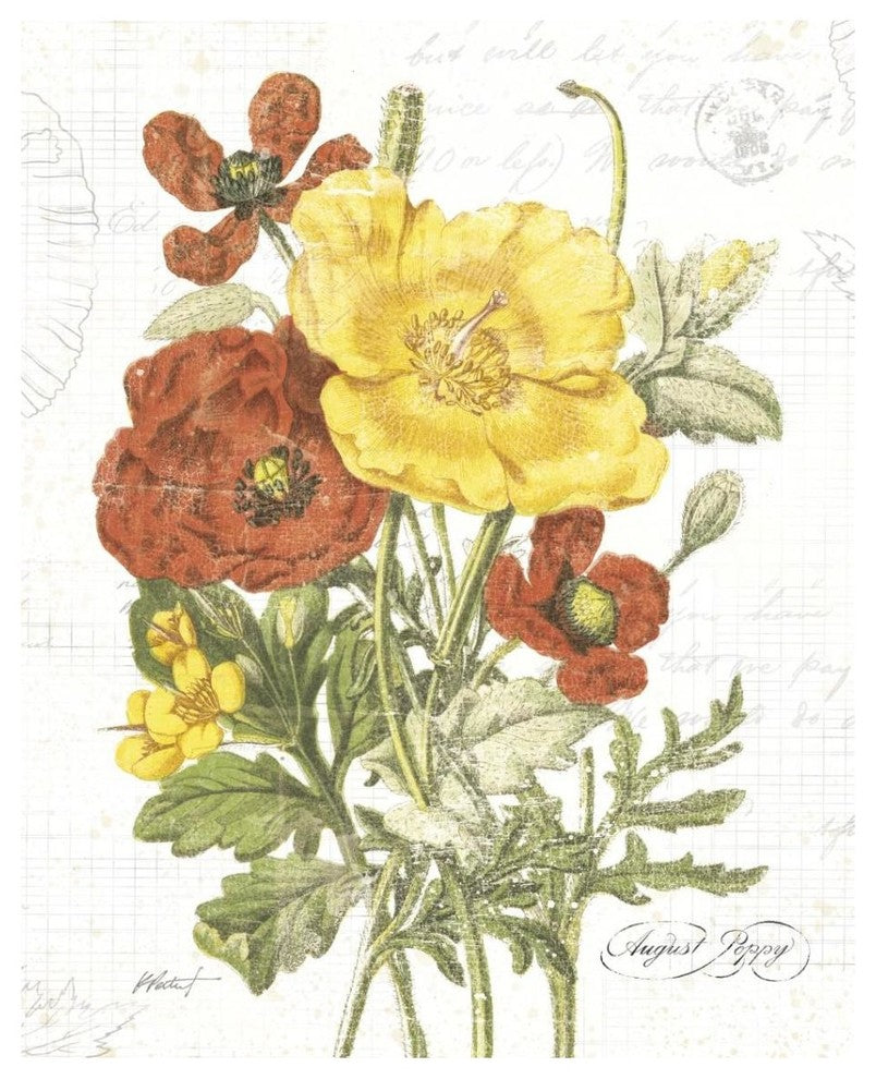 "August Poppy on White" Digital Paper Print by Katie Pertiet, 30"x37"