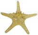 Metallic Knobby Starfish 9", Set of 2, Gold
