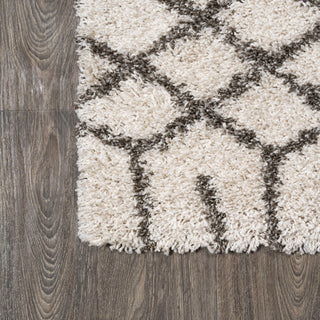 Algaida Moroccan Diamond Shag Beige/Dark Gray 4'x6' Area Rug