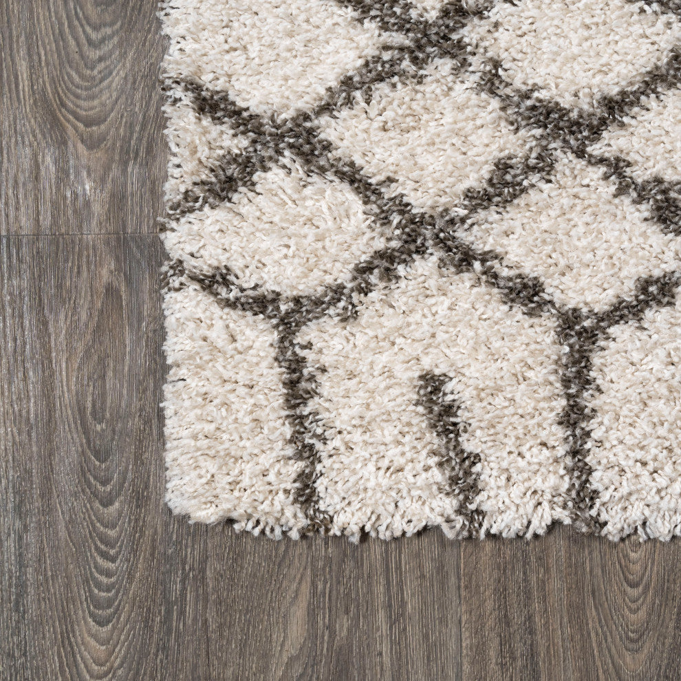 Algaida Moroccan Diamond Shag Beige/Dark Gray 4'x6' Area Rug