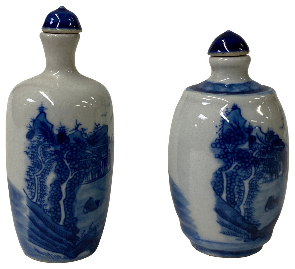 2 x Chinese Porcelain Snuff Bottle With Blue White Scenery Graphic Hws1326