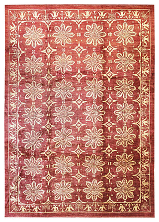 Red Transitional All Over Turkish Knot Area Rug