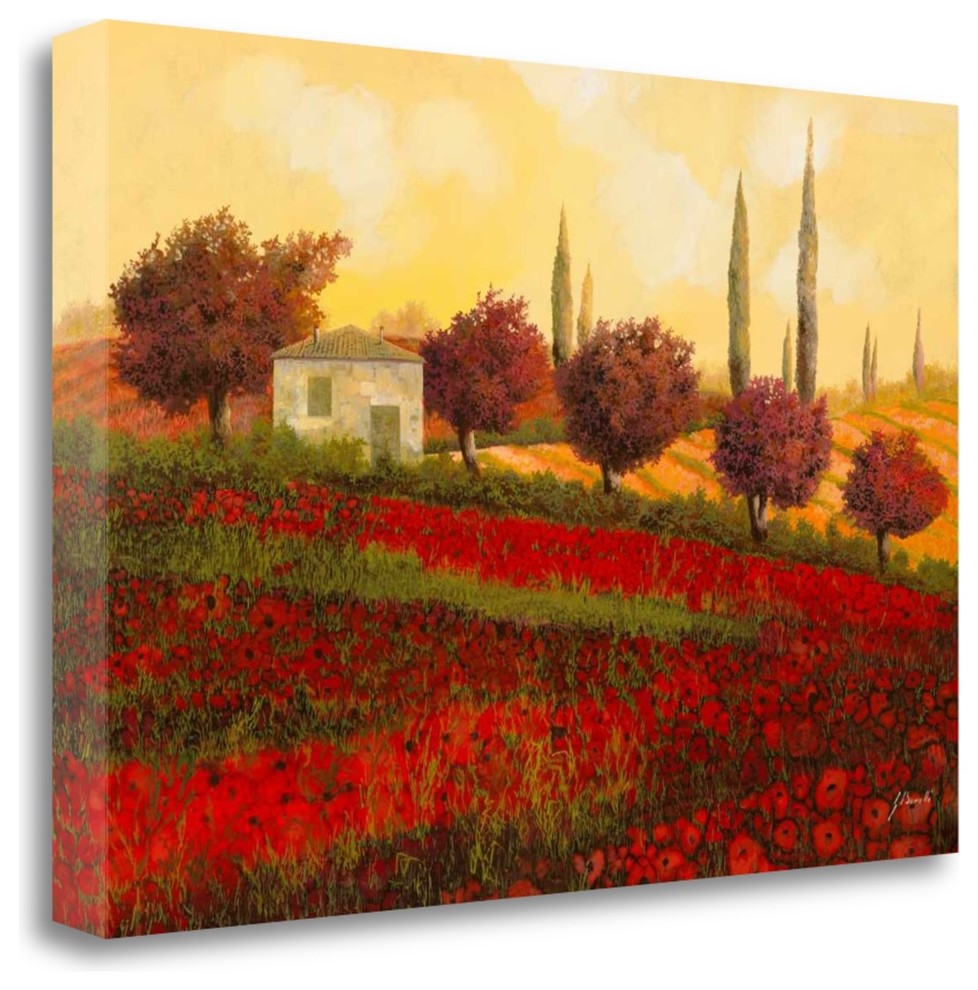 "Papaveri Toscana II" By Guido Borelli, Giclee Print on Gallery Wrap Canvas