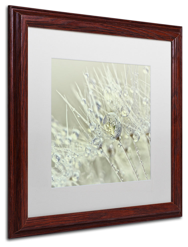 Cora Niele 'Dandelion Dew III' Matted Framed Art