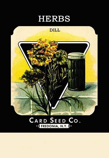Herbs: Dill, 24x36, Fine Art Giclee Print