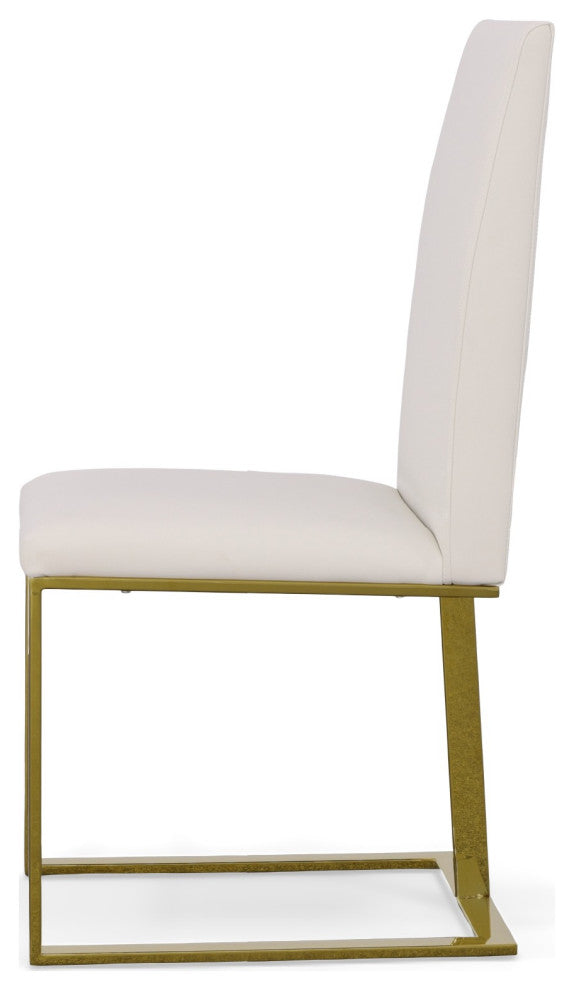Modrest Frankie Contemporary White and Gold Dining Chair