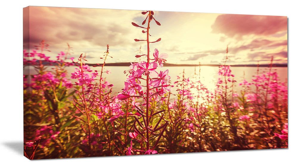 Meadow with Purple Flowers Alaska, Floral Art Canvas Print, 32"x16"