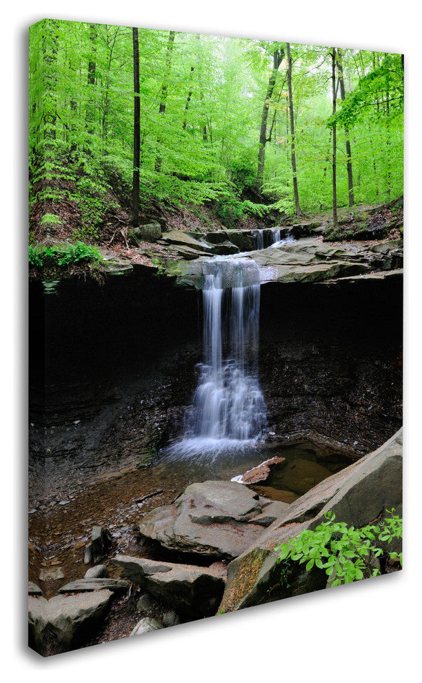 'Blue Hen Falls' Canvas Art by Kurt Shaffer
