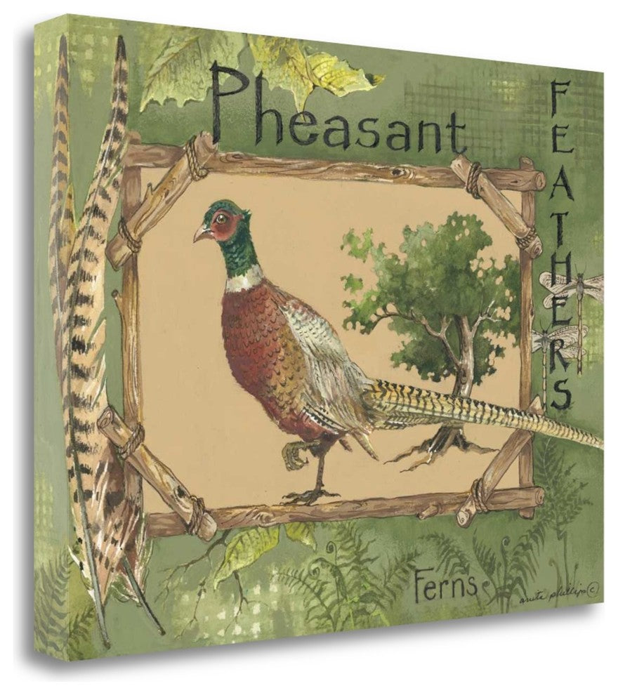 "Pheasant" By Anita Phillips, Giclee Print on Gallery Wrap Canvas, Ready to Hang