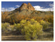 "Mitten Rock, New Mexico" Digital Paper Print by Tim Fitzharris, 34"x26"