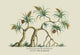 Pandanus Odoratissimus Keura Tree in Guzerat- Gallery Wrapped Canvas Art