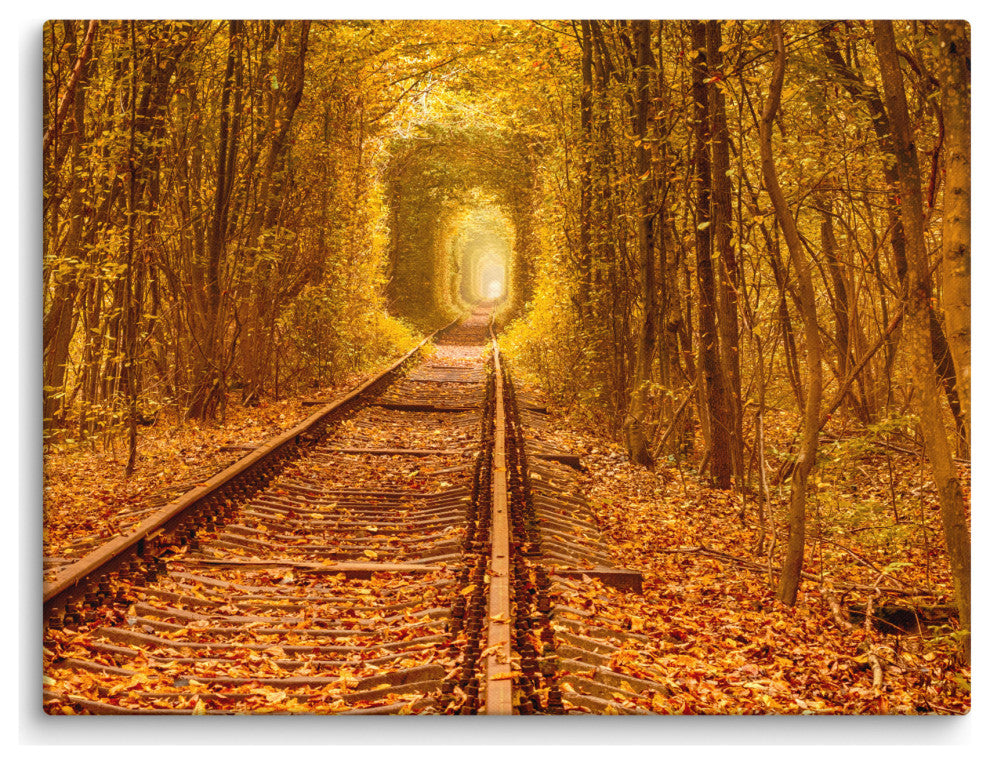 Ukraine Forest Railway Tunnel of Love Landscape Photo Canvas Wall Art Print, 18" X 24"