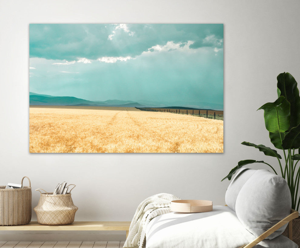 Harvest Shadow - 72 x 48 by Annie Bailey Art