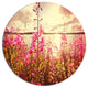 Meadow With Purple Flowers Alaska, Floral Disc Metal Artwork, 36"