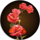 Bright Poppies Flower, Floral Round Metal Wall Art, 23"