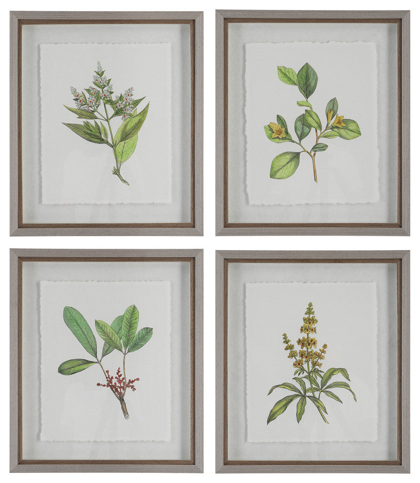Uttermost Wildflower Study Framed Prints, Set of 4