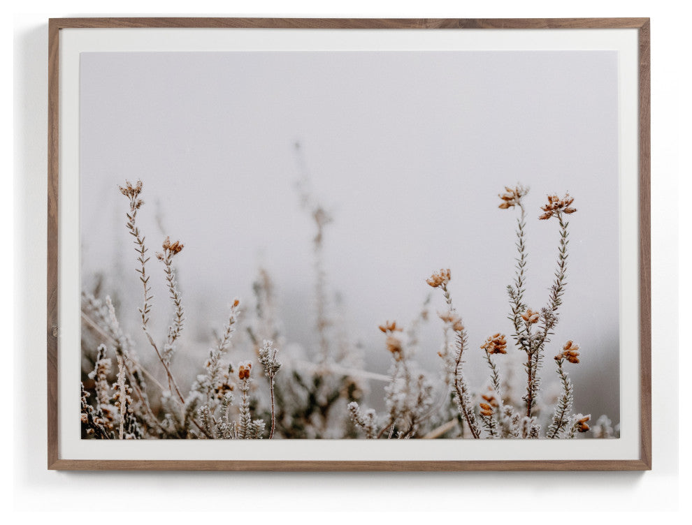 In The Details Ii By Annie Spratt