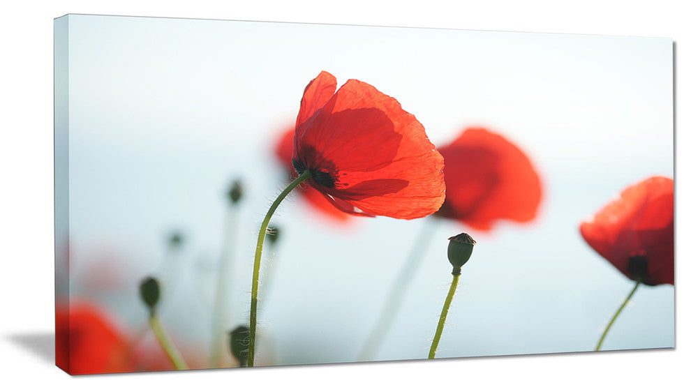 Poppies on Background of Sea, Floral Canvas Art Print, 32"x16"