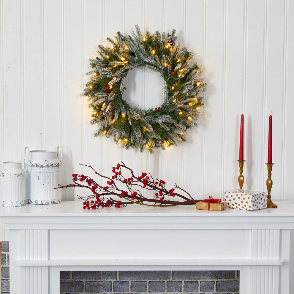 24ï¿½ Snowed Christmas Wreath with 50 Warm White LED Lights and Pine Cones