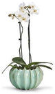 Two's Company Large Celadon Gourd Ceramic Vase