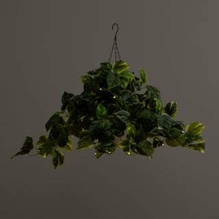 24in. Prelit UV Resistant Artificial Pothos, White Hanging Basket