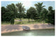 "Lakeside Palms" Digital Paper Print by Diane Romanello, 50"x34"