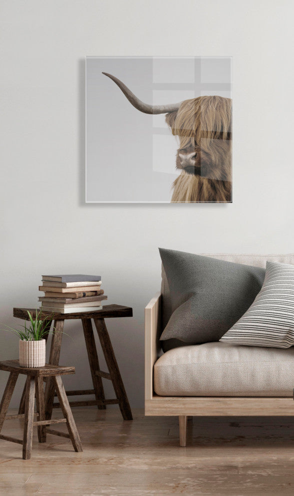 Highland Cow Crop  Acrylic Art by The Creative Bunch Studio, Assorted 23x23