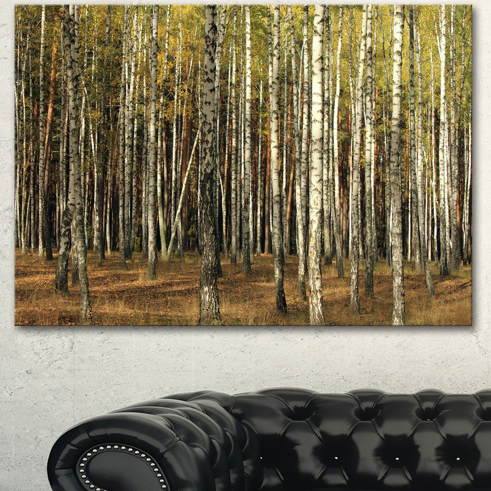 Green Fall Forest with Thick Trees, Forest Canvas Art Print, 40"x30"