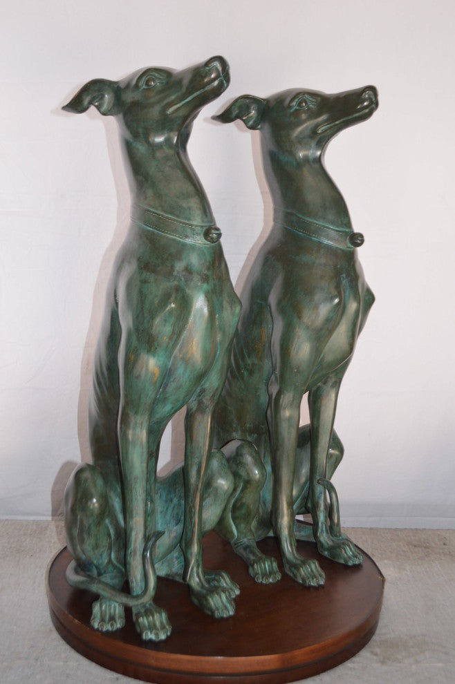 Pair of Greyhound dogs sitting Bronze Statue -  Size: 12"L x 12"W x 35"H.