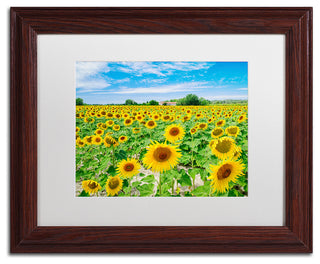 Blanchette Photography 'Field of Yellow', Wood Frame, White Matte, 14"x11"