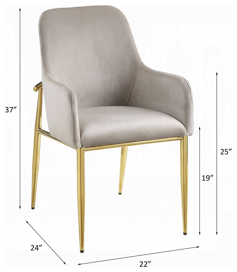ACME Barnard Side Chair, Set of 2, Gray Velvet and Mirrored Gold