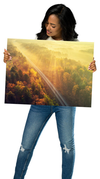 Sunrise Railroad Though Misty Forest Landscape Photo Loose Wall Art Prints, 18" X 24"