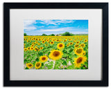 Blanchette Photography 'Field of Yellow', Black Frame, White Matte, 20"x16"
