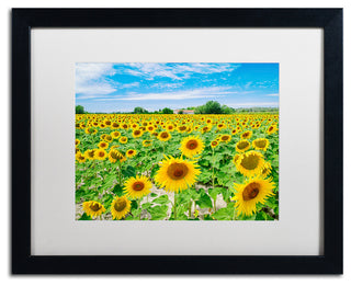 Blanchette Photography 'Field of Yellow', Black Frame, White Matte, 20"x16"